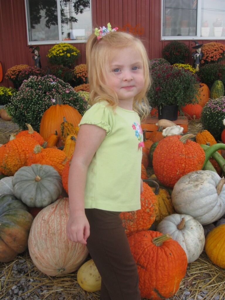 IMG_3743 IMG_3743