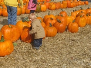 IMG_3990 (2)