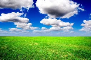 field2 field2
