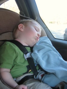 IMG_4561 IMG_4561