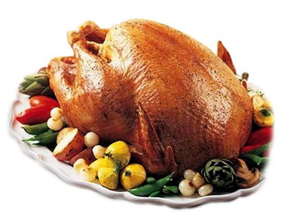 turkey1 turkey1