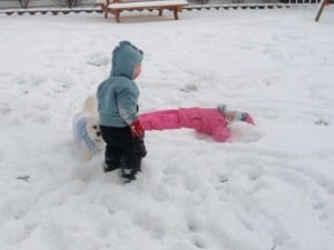 IMG_5226 IMG_5226