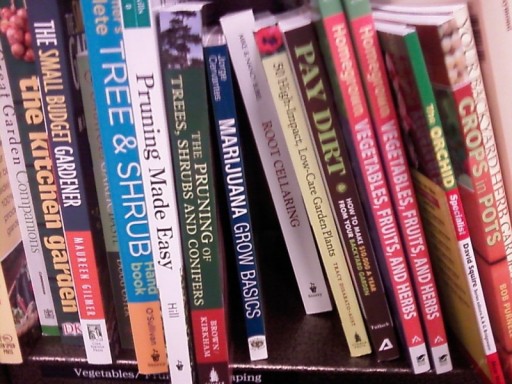 books books