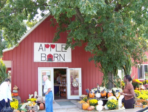Post image for The Apple Barn Opens Today!