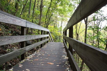 Post image for Green Tip – Take a hike!