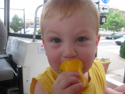 Duck Tour