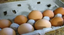Thumbnail image for Farm Fresh Eggs
