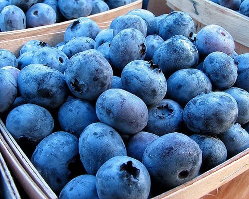 blueberries Blueberries