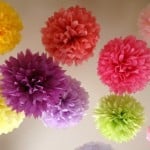 poms1