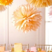 Thumbnail image for Pom Poms – My New Love