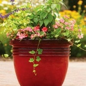 Thumbnail image for Better Homes and Gardens $2500 Outdoor Living Sweepstakes