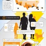 TVC_UV_Infographic_1000px (1)