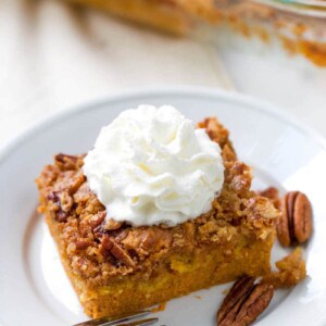 This quick and easy pumpkin dump cake is your next go-to fall dessert. Dump cakesย recipes are so versatile and are perfect for serving a crowd or whipping up a quick dessert to feed your family as a treat. An easy pumpkin recipe that is a no-fail recipe. Just mix, dump, and bake. It's that easy.ย