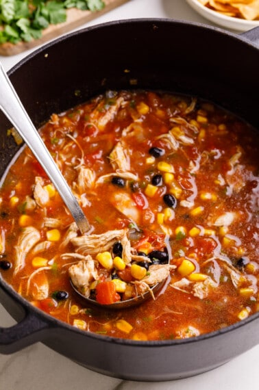 A ladle lifting a scoop of chicken tortilla soup from a pot.